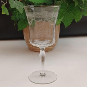 Vintage Panel Optic Draped Etched Stemmed Wine Water Goblet