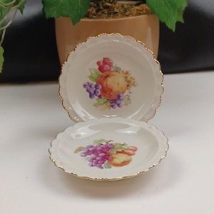 Trinket Ring Dishes Set of 2 Porcelain Winterling  Marktleuthen Bavaria Western Germany Fruit Design