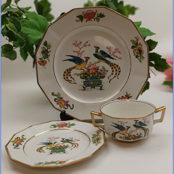 Johnson Brothers Bird of Paradise Plates Etsy