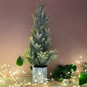 Mini Christmas Tree in Metal Pot