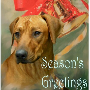 Rhodesian Ridgeback Biglietti da visita di Natale