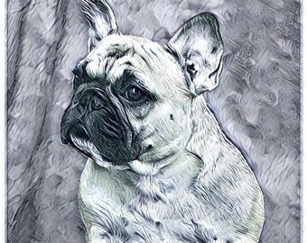 French Bull Dog drawing note cards