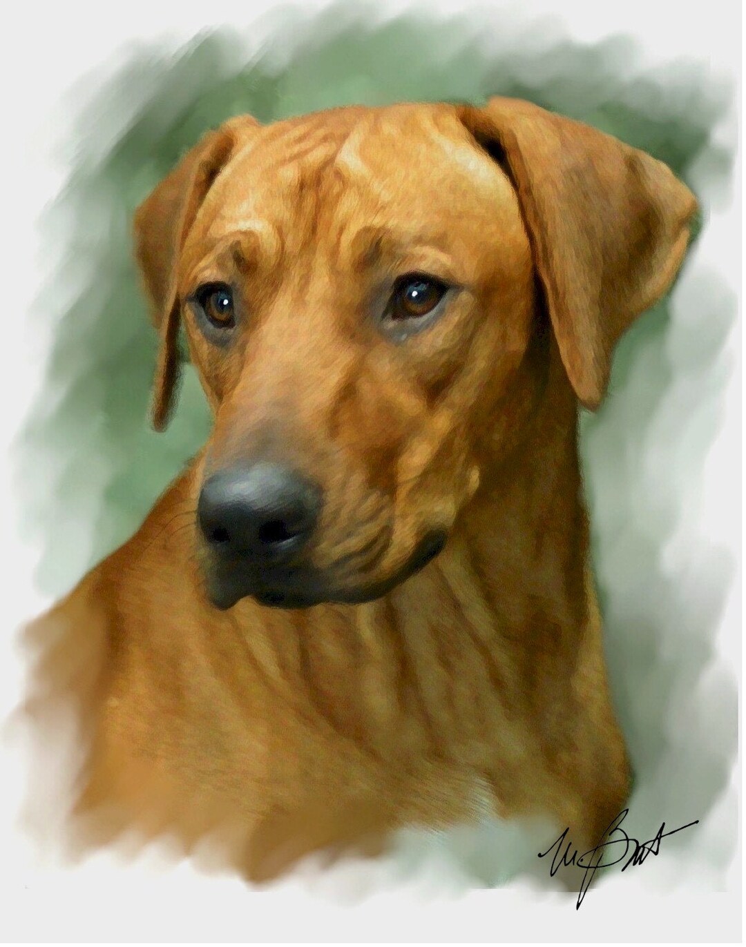 Rhodesian Ridgeback #2 Note Cards - Etsy