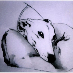 Schede di nota Greyhound #4