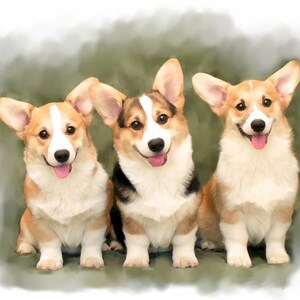 Cartoline per appunti Pembroke Corgi n. 2