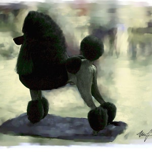 Tarjetas de #5 notas de Poodle