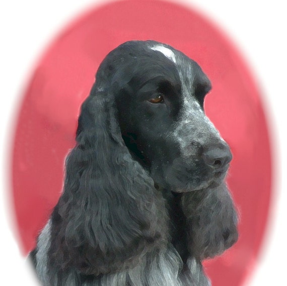 pics Blue Roan Cocker Spaniel Images english cocker spaniel 3 blue roan note cards etsy