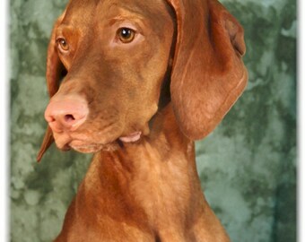 Vizsla #4 Note Cards