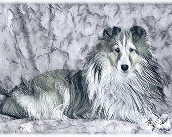 Sheltie Shetland Sheepdog Line Drawing