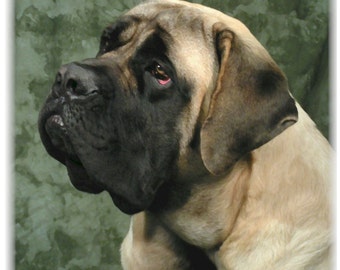 English Mastiff #2 Note Cards