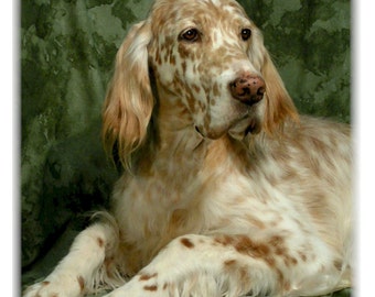 English Setter Red & White #1 Note Cards