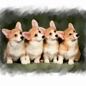 Corgi Pups Cartes de notes NOUVEAU