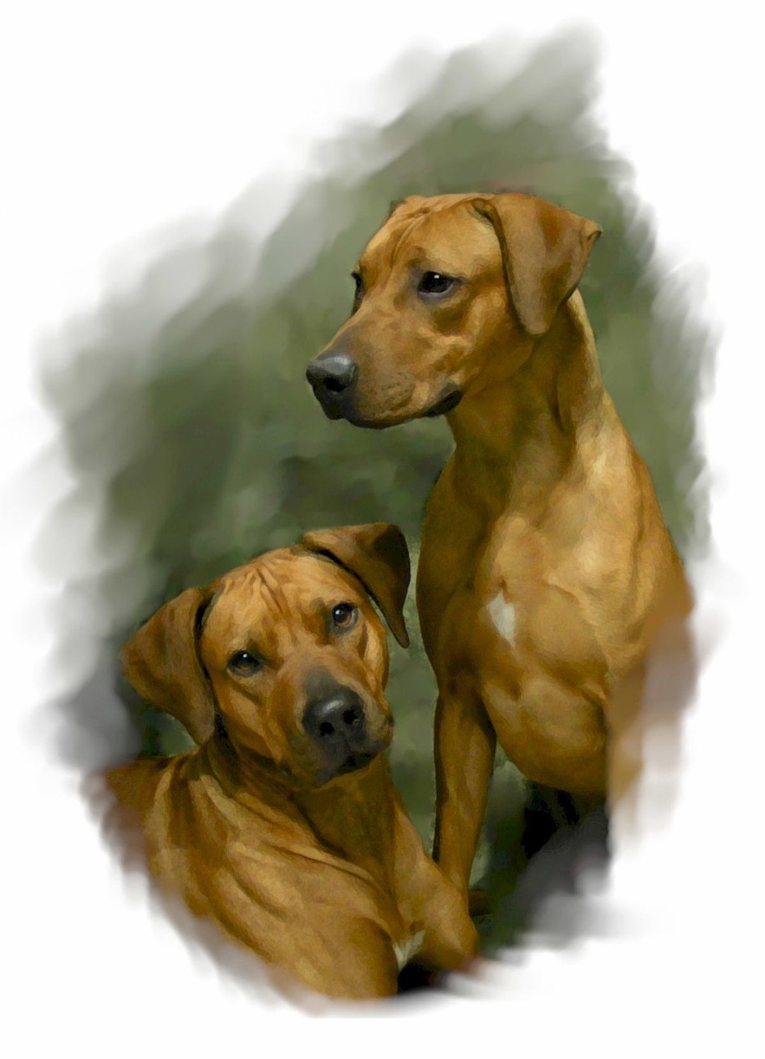 Rhodesian Ridgeback #3 Note Cards - Etsy