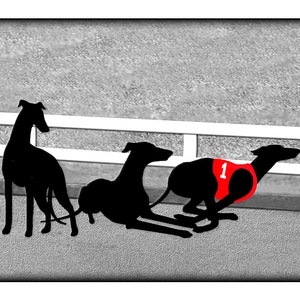 Greyhound Silhouette Racing, stehend und liegend NEU und aufregend