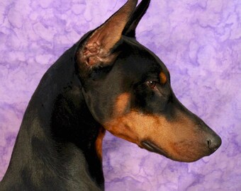 Doberman #4 Note Cards