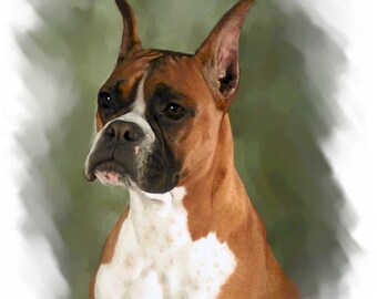 Boxer Fawn #1 Note Cards