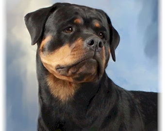 Könnte beinhalten: Ein schwarzer und brauner Rottweiler mit einem ernsten Ausdruck, der nach rechts schaut, vor einem blauen und weißen Aquarellhintergrund.