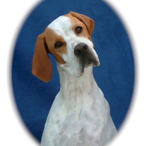 May include: A white and brown short-haired dog with a white patch on its forehead, looking to the left, against a blue background.