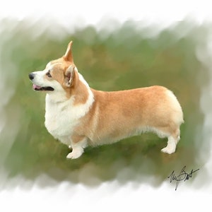 Pembroke Corgis # 4 Notizkarten