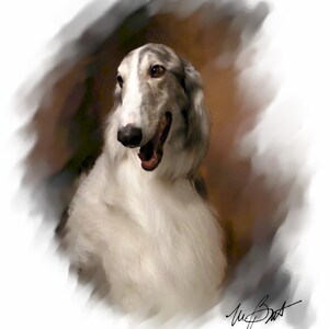 Borzoi #! Notizkarten