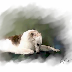 Borzoi Dream Note Card