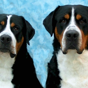 Mehr Schweizer Berg Hund Grußkarten
