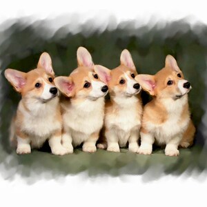 Pembroke Corgis #1 Notizkarten