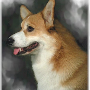 Corgi Pembroke Nota #3 carte