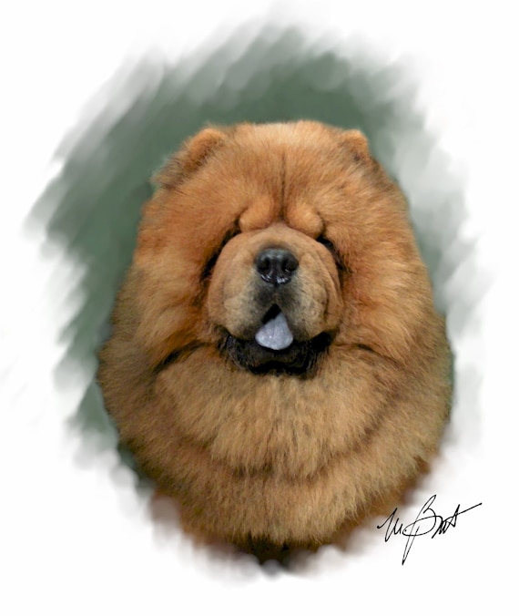 Buy Chow Chow Note Cards Online in India