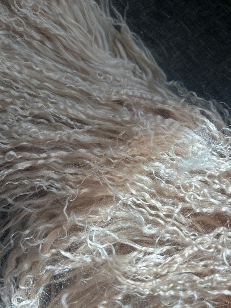 May include: Close-up of a soft, white, curly fur. The fur is very fluffy and appears to be from a sheep or other animal.