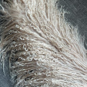 May include: A close-up of a bundle of soft, white, curly sheep's wool. The wool is arranged in a fan shape, with the tips of the fibers pointing towards the right side of the image.