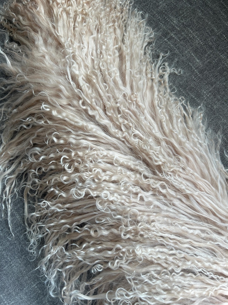 May include: A close-up of a bundle of soft, white, curly sheep's wool. The wool is arranged in a fan shape, with the tips of the fibers pointing towards the right side of the image.