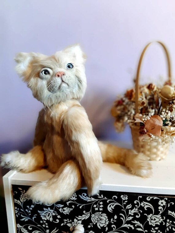soft cat teddy