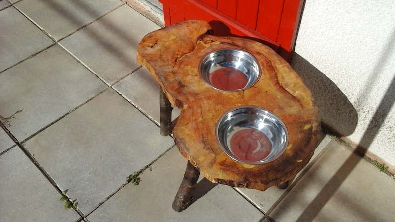feeder food storage gift wood varnish medium to large dog unique OOAK Door bowls dog on a stump of wood