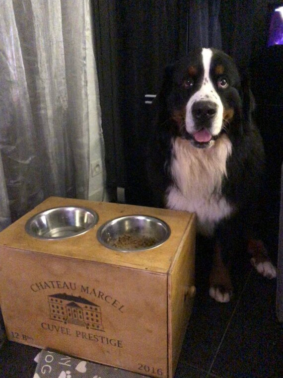 Chien Support Gamelle Personnalisé Caisse A Vin Porte Bol Personnalisé Bois Chien Rangement Mangeoire Nourriture