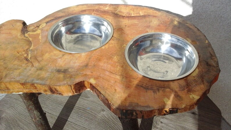 feeder food storage gift wood varnish medium to large dog unique OOAK Door bowls dog on a stump of wood