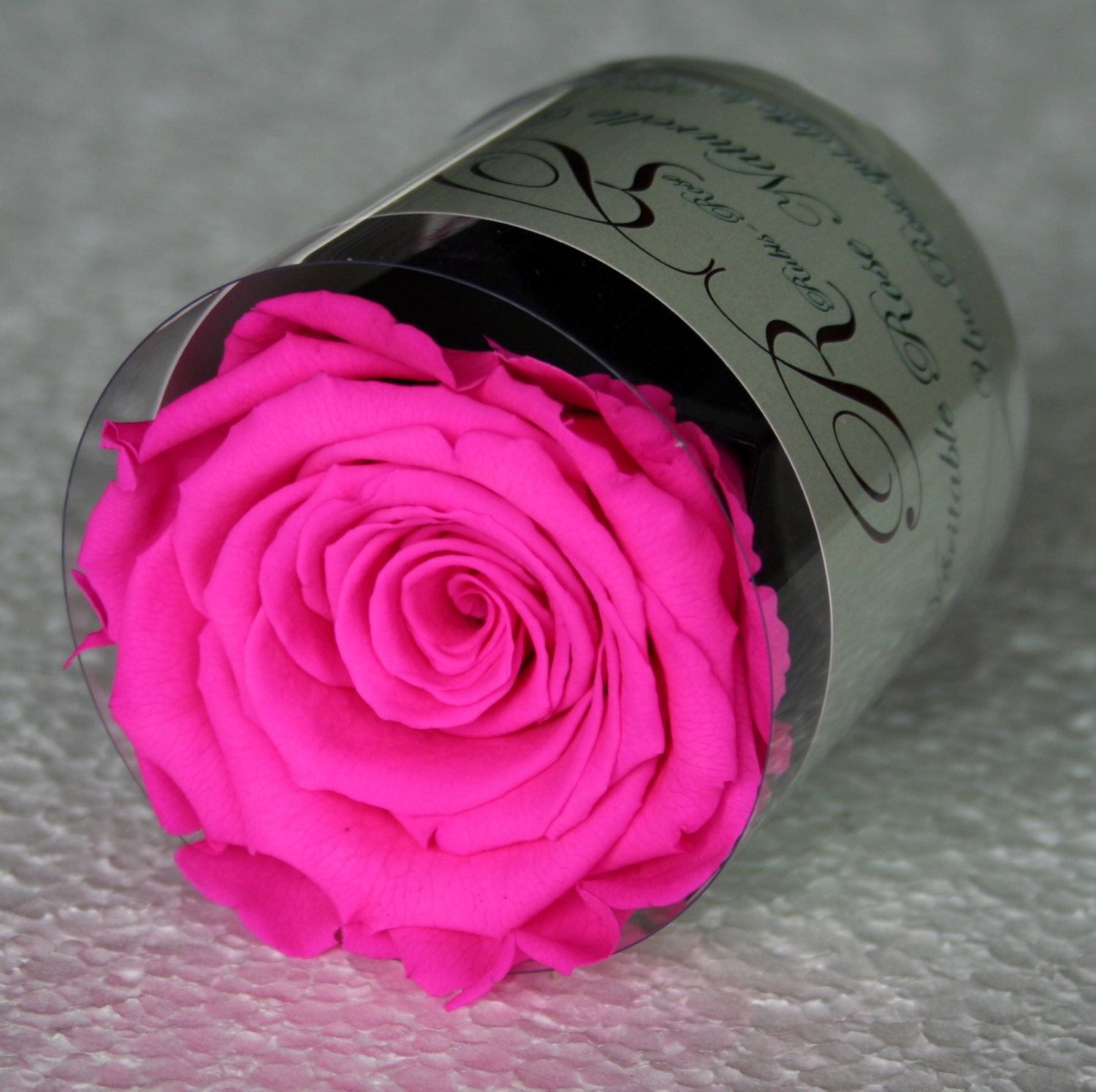Rose Éternelle Fuchsia, Rose Naturelle Stabilisée