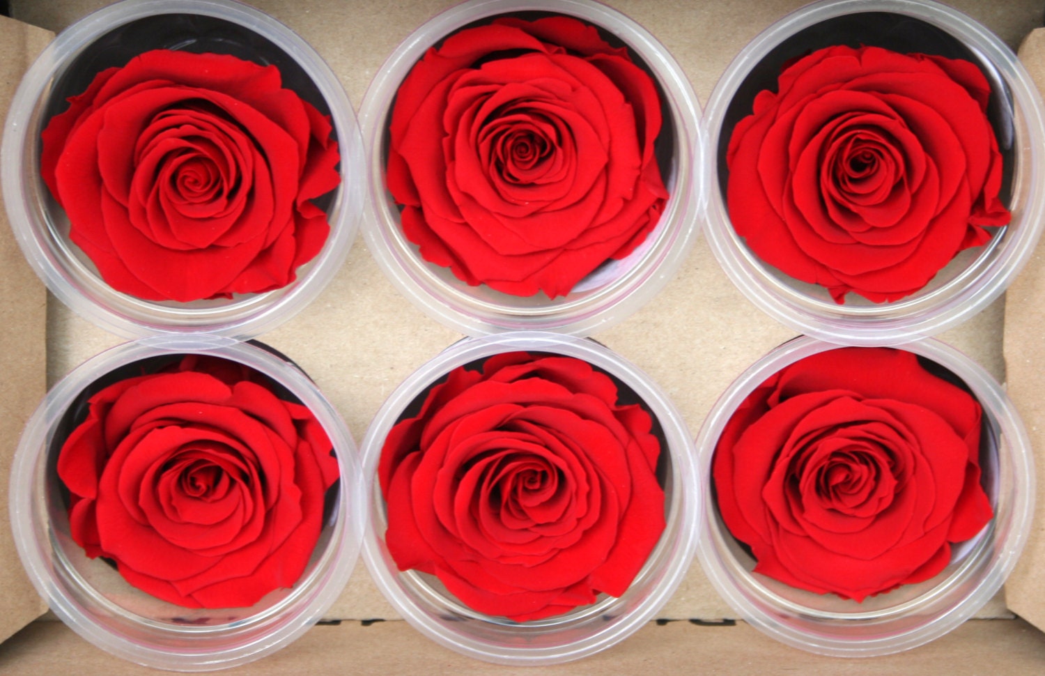 Eternos Detalles - Ramo de 6 rosas eternas realizadas con listón satinado  ✨️ #detalleseternoss #rosaeterna #floresdeliston #rosadeliston #flores #rosa  #flor #rosaseternas