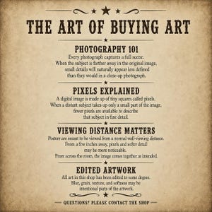 May include: A beige informational poster titled THE ART OF BUYING ART with dark brown text. It includes sections on Photography 101, Pixels Explained, Viewing Distance Matters, and Edited Artwork, explaining how digital images and posters are viewed.