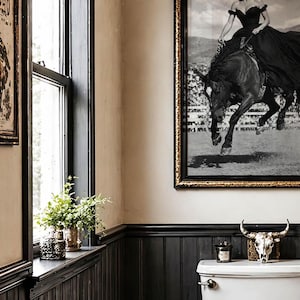 May include: A framed black and white photograph of a person in a dark gown riding a horse, displayed on a wall above a toilet. The room features dark wood wainscoting, a window with a small green plant, and a decorative animal skull on the tank.