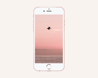 Smartphone Wallpaper Santa Monica Beach Apple Iphone Etsy