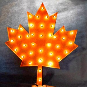 Puede incluir: Una gran hoja de arce de metal naranja con luces blancas. Las luces están encendidas y brillan.
