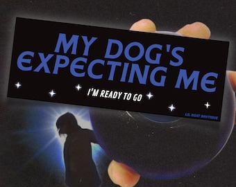 My Dog's Expecting Me - Bumper Sticker Djo lyrics gloom