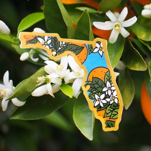 Adesivo in vinile Florida Orange Blossom, serie State Flower Florida State Outline Flower Decalcomania per auto Adesivo per paraurti Disneyworld