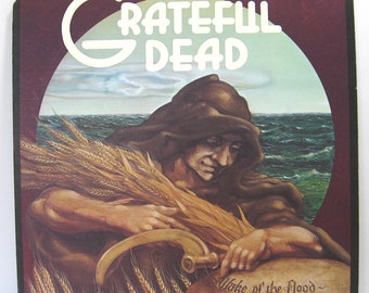Grateful Dead Steal Your Face LP, Vintage Vinyl Album - Etsy