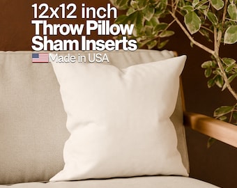 May include: A white 12x12 inch throw pillow sham insert on a beige couch. The pillow is made in the USA. The text "HOUSE LINENS VANITY" is visible in the bottom left corner of the image.