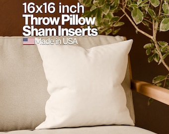 Euro Sham Insert for 16x16 inch Throw Pillow Insert with Down Alternative Made in USA Throw Pillow Fill