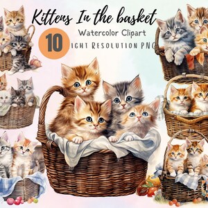 May include: Ten watercolor illustrations of kittens in baskets. The kittens are in various poses, some are looking at the camera, some are looking away. The baskets are all different colors and styles. The background is a light pink.