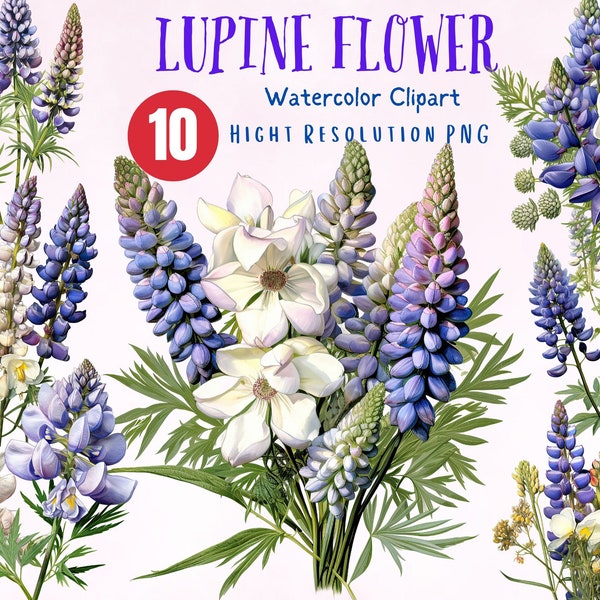 Lupine Flower Clipart | Watercolor | floral bluebonnet | PNG format, instant download for commercial use. Wall Art Decoration, Book Cover