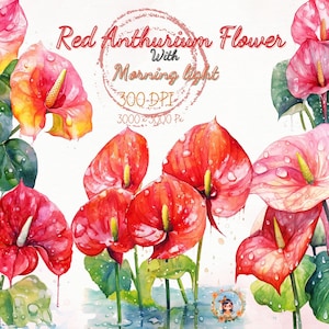 Anthurium Flower Watercolor Clipart , Tropical Flower PNG  format instant download for commercial use